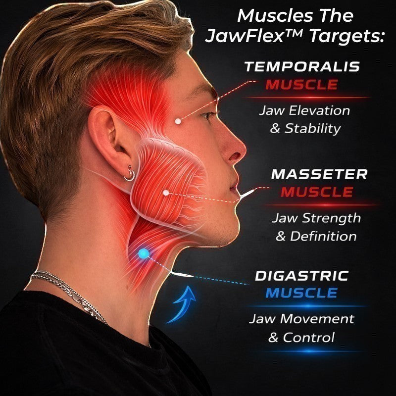 Dropset™ Official JawFlex targets temporalis, masseter, and digastric muscles for jaw elevation, strength, definition, movement, and control.